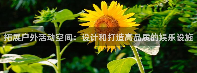 开丰娱乐168：拓展户外活动空间：设计和打造高品质的娱乐设施