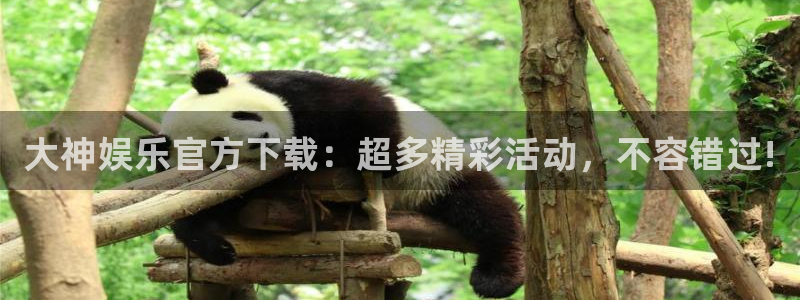 开丰娱乐：大神娱乐官方下载：超多精彩活动，不容错过!