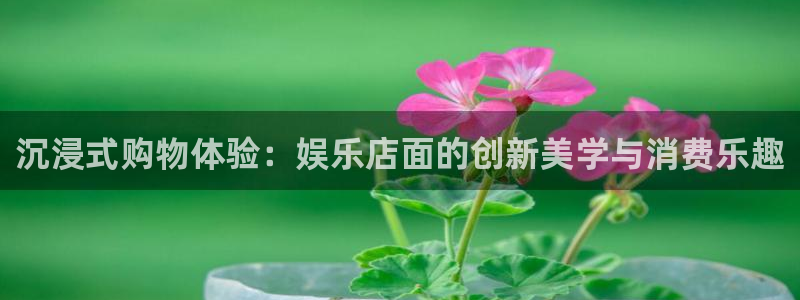 开丰娱乐：沉浸式购物体验：娱乐店面的创新美学与消费乐趣