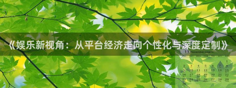 开丰娱乐168：《娱乐新视角：从平台经济走向个性化与深度定制》