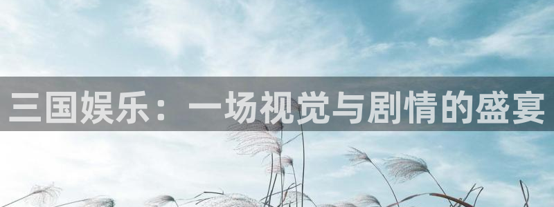 开丰娱乐168：三国娱乐：一场视觉与剧情的盛宴